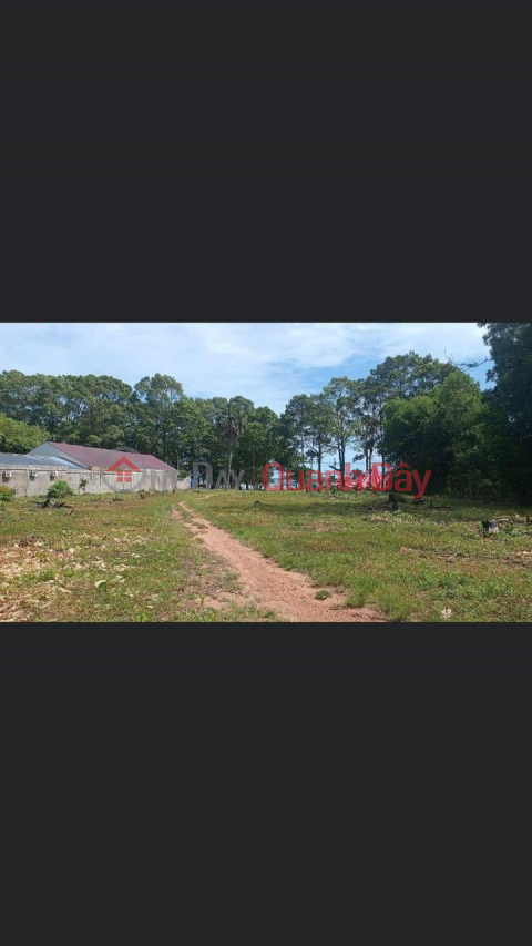 BEAUTIFUL LAND - INVESTMENT PRICE - Quick Sale In Binh An, Kien Luong, Kien Giang _0