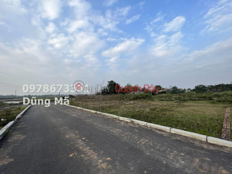 Property Search Vietnam | OneDay | Residential Sales Listings | OWNER SELLS LAND AT AUCTION IN DONG SON - CHUONG MY FOR 1.3 BILLION VND