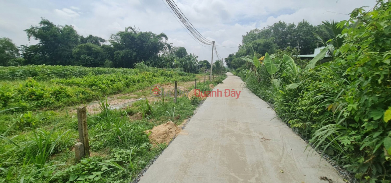 đ 850 Million | OWNER CUTTING LOSSES OVER 30% – URGENT SALE OF LAND WITH FULL RESIDENTIAL TITLE IN TAY NINH