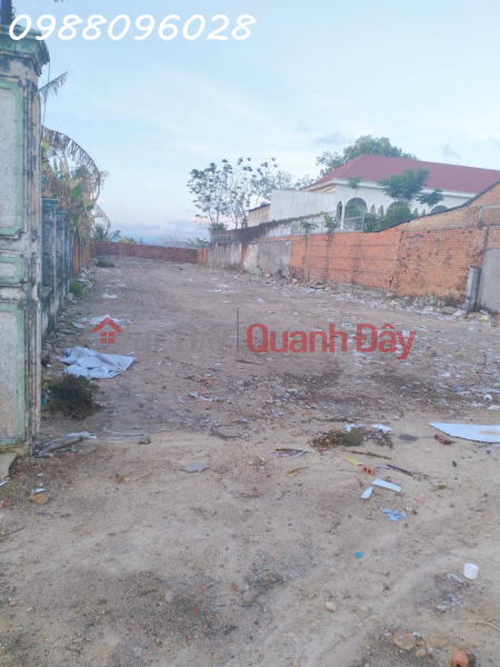 The owner needs to sell 696m2 of motorway land in Tan Minh Town, Ham Tan Vietnam Sales ₫ 245 Million