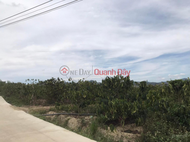 Land for sale 1.3 ha Ninh Gia, Duc Trong, Lam Dong, price 14.8 billion, 6m concrete road Sales Listings