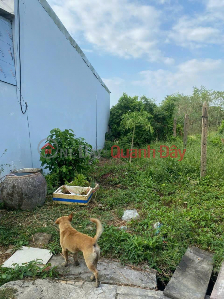 PRIME LAND FOR OWNER - GOOD PRICE - Need to Sell Land Lot in Ward 5 - Soc Trang City QUICKLY Sales Listings