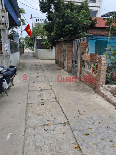 Land for sale in Ấp Tre village, group 10, Quang Minh commune, Mê Linh district. Located on a grid-patterned road network, with a 5m wide frontage., Vietnam | Sales, đ 3.95 Billion