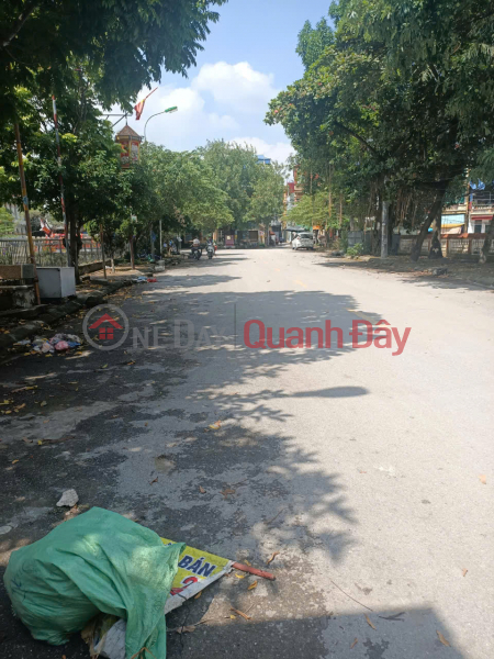 Property Search Vietnam | OneDay | Residential, Sales Listings | Urgent sale of corner lot on main street, prime business, lake view, 3 cars can pass