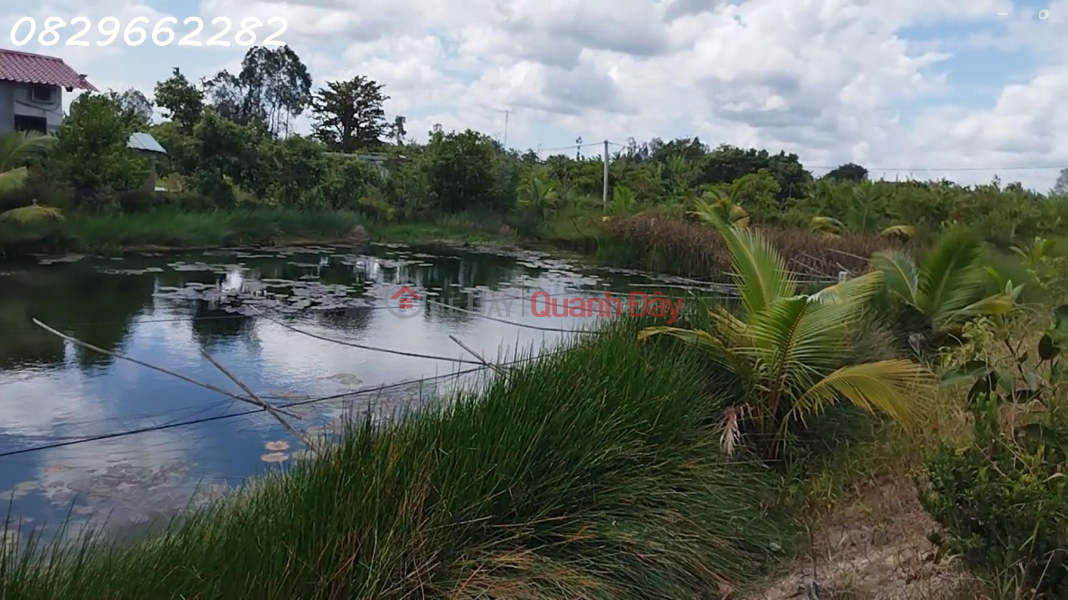 Bán Đất Vườn Mặt Tiền, Xã Hòa Long, Lai Vung, Đồng Tháp. 4.4ha, 22 Tỷ, Sổ Hồng. Việt Nam Bán, đ 22 tỷ