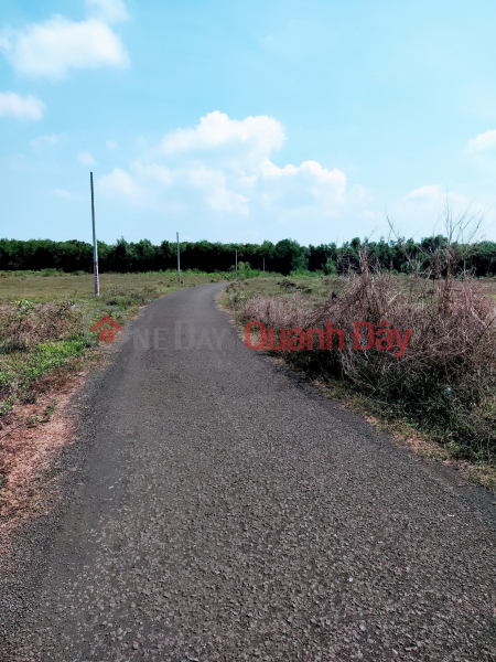 Chính chủ cần bán lô đất đẹp 373 m2 ( 112,4 m2 thổ cư ) tại Tân Lợi, Đồng Phú Việt Nam Bán, đ 910 triệu