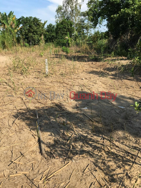 Property Search Vietnam | OneDay | Residential, Sales Listings Land plot for sale by owner, prime location at group 15, Hoa Dan hamlet, Nhi My commune, Cao Lanh District - Dong Thap