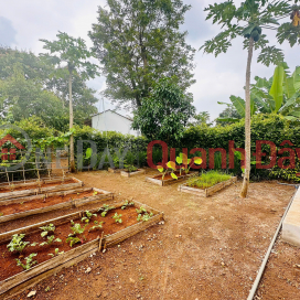 Chỉ Một Lô Duy Nhất - 400M² Mặt Tiền Đường 11M Tại Greenery House Long Tân _0
