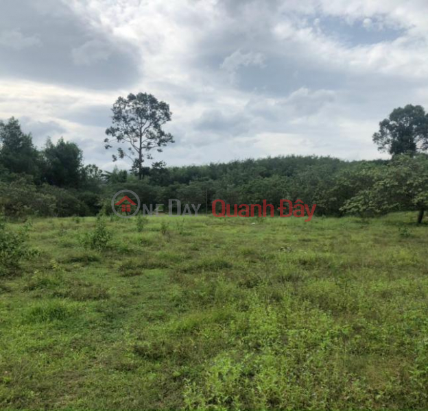 Property Search Vietnam | OneDay | Sales Listings, Urgent sale of land lot frontage of Street 18, Lac Thuan Quarter, Lac Tanh Town, Tanh Linh District, Binh Thuan Province