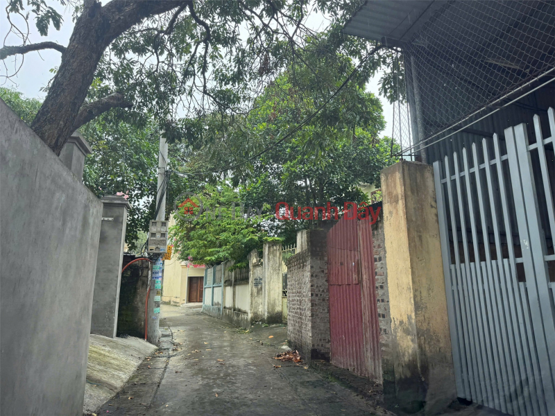 BEAUTIFUL LAND - GOOD PRICE - URGENTLY SELLING A PLOT OF POTENTIAL LAND AT Ngoc Lap STREET - Hung Yen Sales Listings