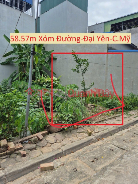 CHÍNH CHỦ BÁN LÔ ĐẤT SÁT NGAY KHU ĐẤU GIÁ 58,57M TẠI ĐẠI YÊN-CHƯƠNG MỸ-HÀ NỘI Niêm yết bán