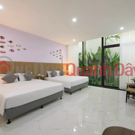 Garden viila for rent on MT CHINH HUU - AN HAI DONG - SON TRA - NEAR PHAM VAN DONG BEACH _0