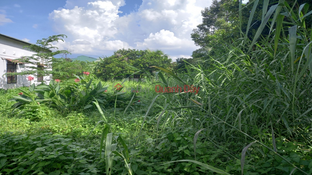 Property Search Vietnam | OneDay | Residential Sales Listings | Land for sale in Ha Huy Giap, T.Loc Ward, District 12, 6 adjacent lots, Bypass road, price reduced to 10.35 billion