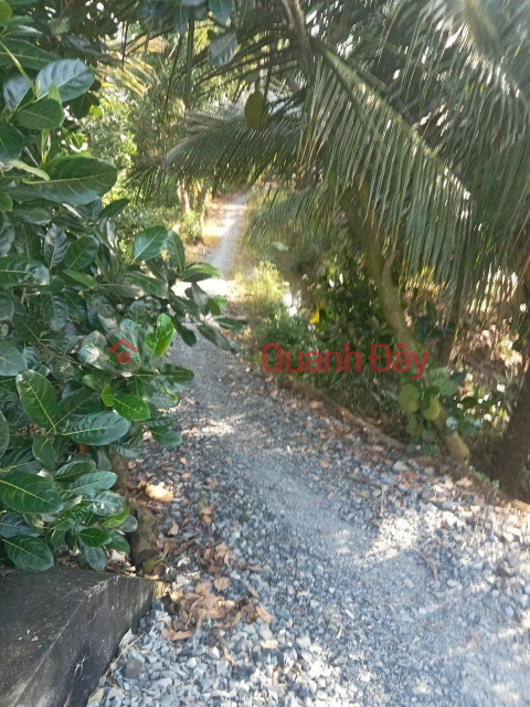 BEAUTIFUL LAND - GOOD PRICE - For Quick Sale Land Lot Prime Location In Tien Giang _0