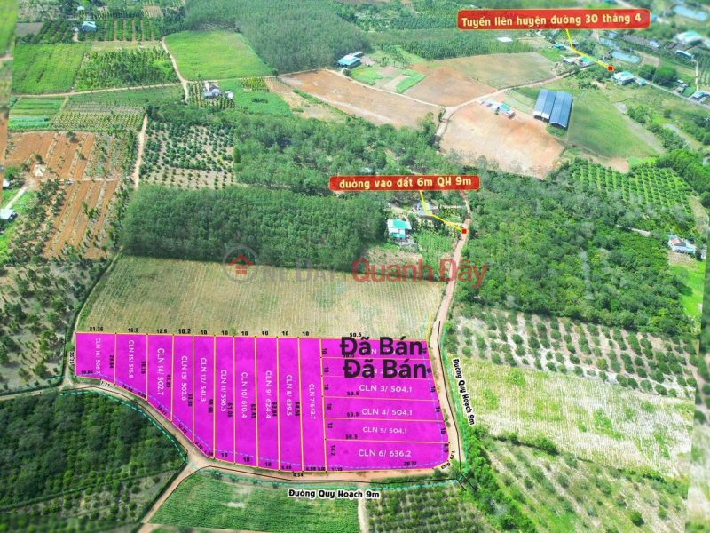 ONLY 16 Lots - Open for sale SUPER LAND PRODUCT IN Ea K Nop TOWN - Ea Kar district, Dak Lak Sales Listings