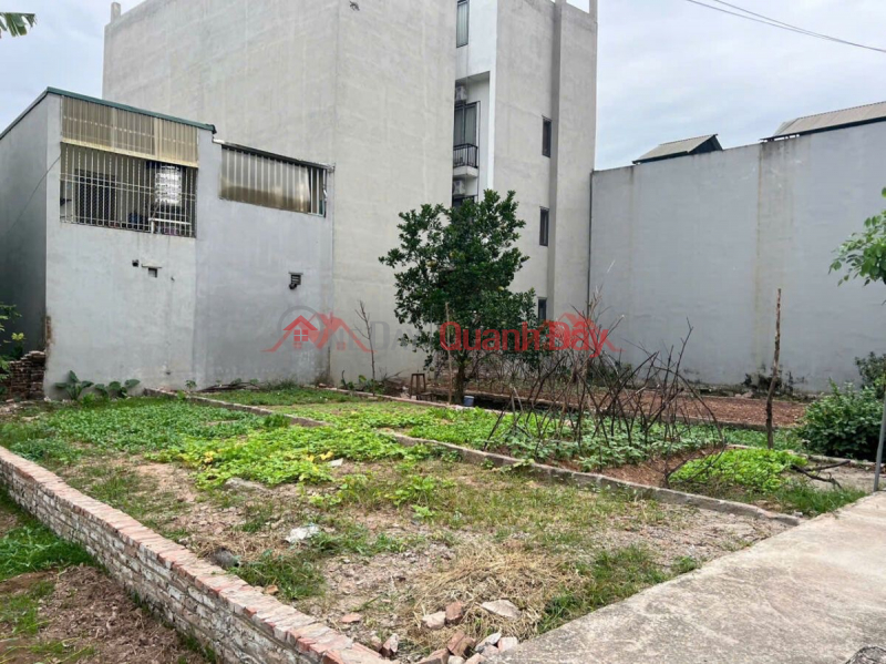 CHÍNH CHỦ BÁN LÔ ĐẤT 53M TẠI PHỤNG CHÂU-CHƯƠNG MỸ-HÀ NỘI Niêm yết bán