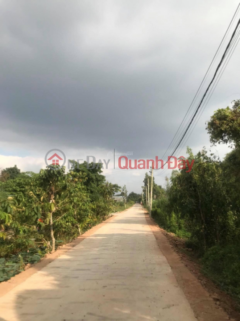 Land for sale in An Ha, Pham Van Hai commune, Binh Chanh, 50m2, TT price 450 million _0