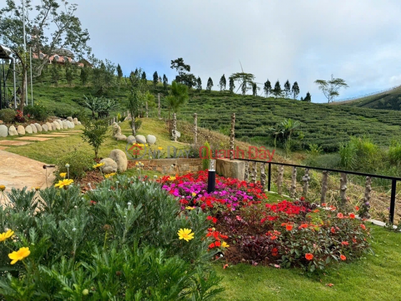 đ 2,2 tỷ, ĐẤT ĐẸP – GIÁ ĐẦU TƯ - CẦN BÁN LÔ ĐẤT VỊ TRÍ ĐẸP TẠI Phường Xuân Trường - Đà Lạt, Lâm Đồng