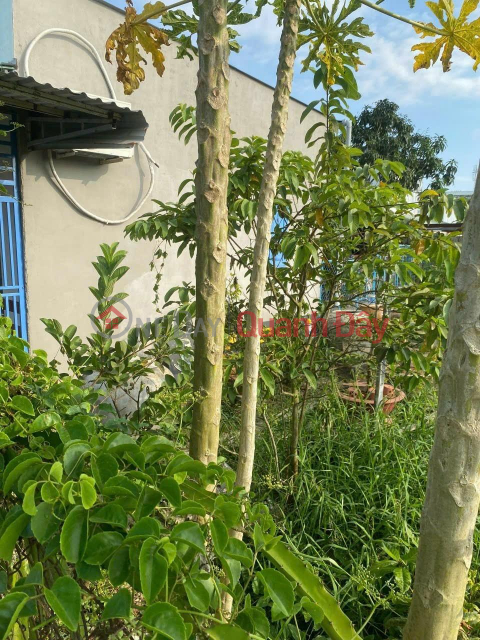 PRIME LAND FOR OWNER - GOOD PRICE - Need to Sell Land Lot in Ward 5 - Soc Trang City QUICKLY _0