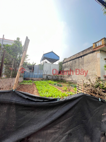 Property Search Vietnam | OneDay | Residential, Sales Listings | 63m Phuong Dong Phuong Chau bypass road - red book ready to store safe - located on the main axis of Phuong Dong gate