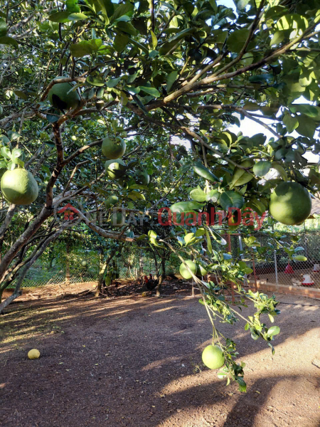 , Làm ơn chọn, Nhà ở | Niêm yết bán | đ 7,9 tỷ