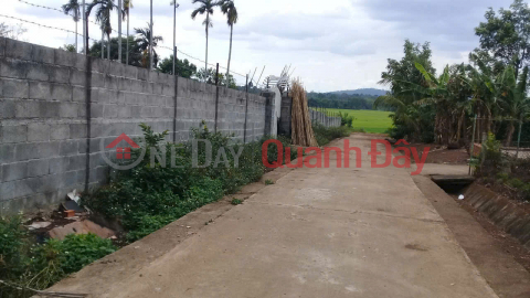 BÁN ĐẤT NHÀ VƯỜN EA KAO - Hơn 4500m2 - Có thổ cư - Hồ cá - View cánh đồng - Làm nhà vườn cực đẹp _0