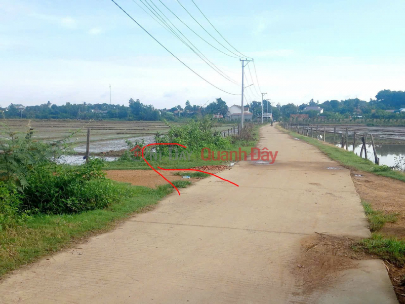 Property Search Vietnam | OneDay | Nhà ở Niêm yết bán, HOT HOT – CẦN BÁN KHU VƯỜN 7 SÀO GẦN BV XUYÊN Á, X. Trúc Sơn, H. Cư Jút, T. Đắk Nông