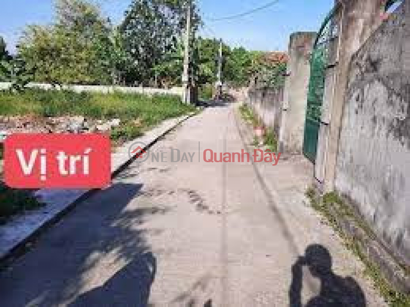 Land for sale in Rice Warehouse Alley, Viet Hung (Alley 11 - Dong Dang) - Ha Long City, Quang Ninh Sales Listings