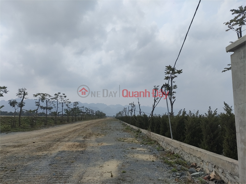 Need to transfer 8000m2 of 50-year industrial land in Yen Lu Commune, Yen Dung District, Bac Giang Province Sales Listings