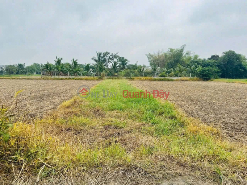 Property Search Vietnam | OneDay | Residential | Sales Listings BEAUTIFUL LAND - PROFITABLE INVESTMENT - Owner Needs to Sell Land in Duc Hoa Dong Commune, Duc Hoa, Long An