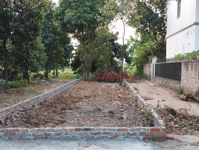 đ 11 Million | OPEN FOR QUICK SALE OF LAND LOT Location In Ninh Mon - Hien Ninh - Soc Son - Hanoi