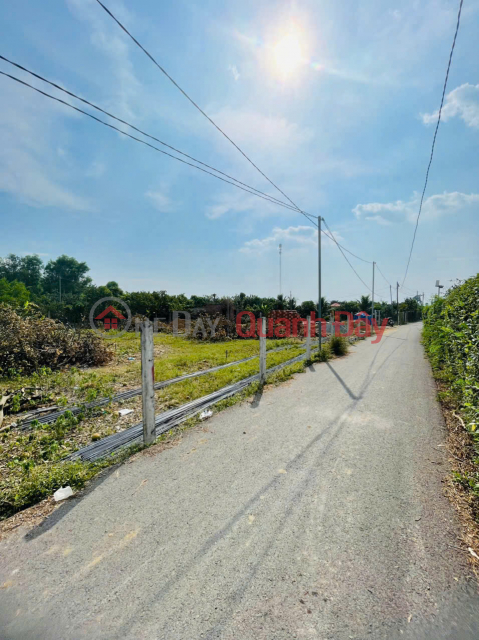 Đất nền TP.Biên Hoà giá rẻ! Cơ hội đầu tư bds sinh lời chỉ với 400tr, không thể bỏ qua. _0