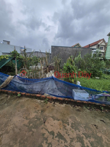 Property Search Vietnam | OneDay | Nhà ở, Niêm yết bán, Bán lô đất nhỏ xinh, thôn Trung Hậu Đông, Tiền Phong, Mê Linh. Gần trường DH Tài Chính