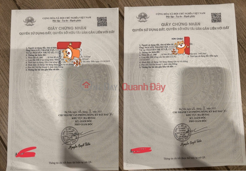 Property Search Vietnam | OneDay | Residential Sales Listings PRIME LAND FOR SALE - OWNER NEEDS TO SELL 2 PLOTS IN A STRATEGIC LOCATION IN PHUOC LOC COMMUNE, DA HOAI DISTRICT, LAM DONG PROVINCE