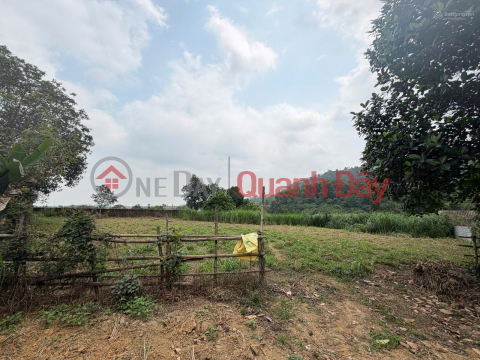 OWNER SELLING 1,080M2 LAND WITH TITLE DEED, 30M FRONTAGE, FULL AMENITIES, LOCATED RIGHT ON TL87A - YEN BAI _0