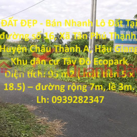 BEAUTIFUL LAND - Quick Sale Land Lot At Street 16, Tan Phu Thanh Commune, Chau Thanh A District, Hau Giang _0