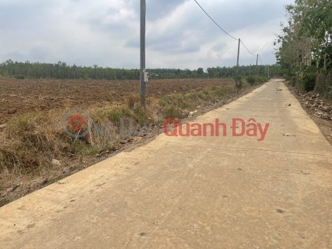 Đất Nền Thổ Cư 250m đồng giá 200tr nền _0