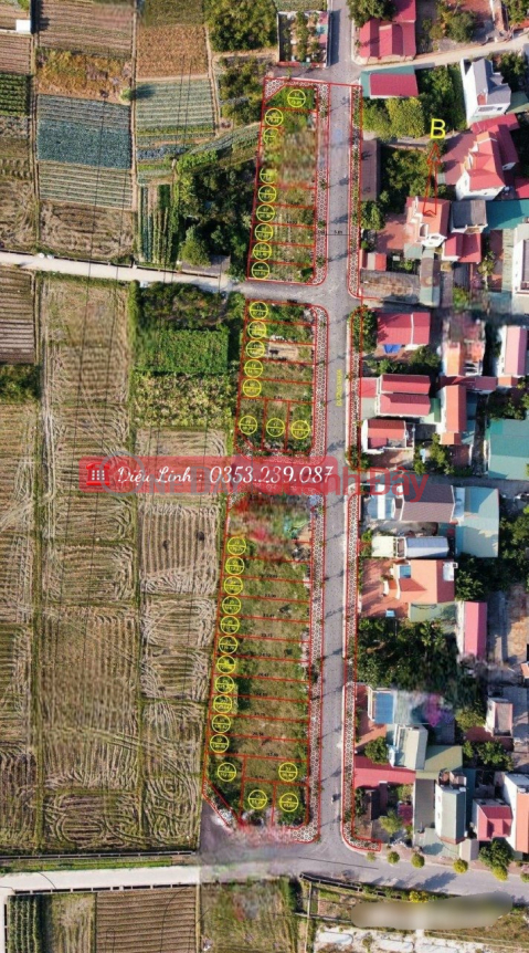 LAND FOR SALE AT AUCTION X9 CAN KHE, NGUYEN KHE, DONG ANH PRICE ONLY 42.5 TR\/M _0