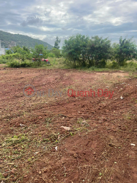 đ 23 Billion OWNER SELLING a PLOT OF LAND WITH 2 FRONTAGES IN AN NGÃI COMMUNE, LONG ĐIỀN DISTRICT, BÀ RịA VÑÁN VÑÁN.