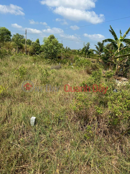 Property Search Vietnam | OneDay | Residential, Sales Listings | Land by Owner - Land for Sale in Beautiful Location at KHOM 7 - WARD 7 - CA MAU CITY