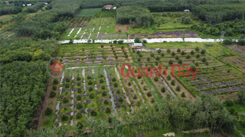 Durian Garden Near Thanh Duc Industrial Park - Potential Land! _0