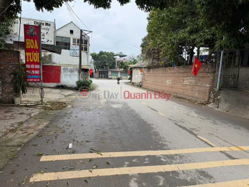 Property Search Vietnam | OneDay | Văn phòng / Bất động sản Thương mại Niêm yết cho thuê Cần cho thuê Kho Xưởng Mới hoàn thiện Tại Khu Xuân Thành – Phường Phú Thọ.( Đèn đỏ cây 2 )