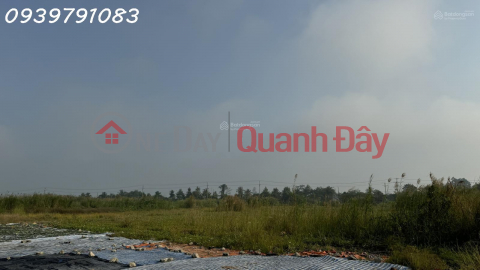 CẦN BÁN 2,14 HA ĐẤT TẠI CỤM CÔNG NGHIỆP MỸ HIỆP, ĐỒNG THÁP (CAO LÃNH - ĐỒNG THÁP CŨ) _0