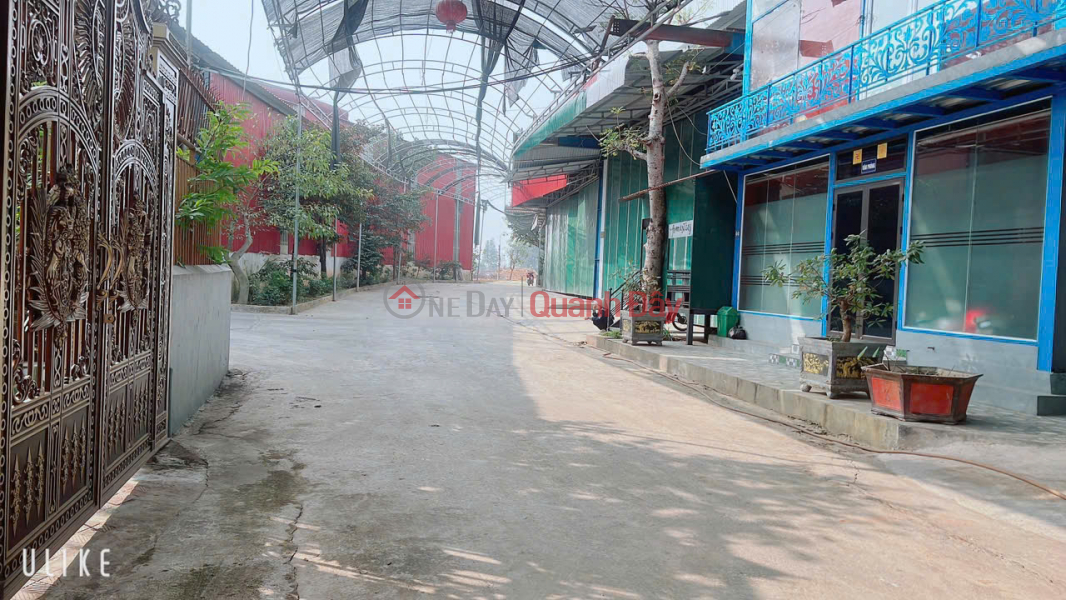 , Làm ơn chọn | Nhà ở | Niêm yết bán | đ 21,3 tỷ