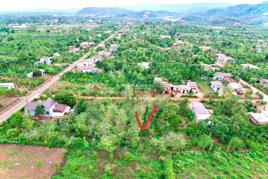 BEAUTIFUL LAND - GOOD PRICE Need to sell quickly 2 plots of land in Prime Location in Dray Bhang Commune, Cu Kuin District, Daklak Province | Vietnam Sales, đ 289 Million