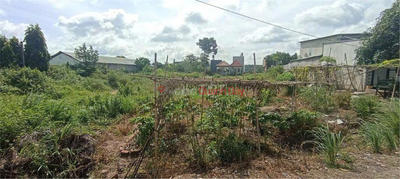 OWNER'S LAND - FRONTAGE Rung Dau Hamlet, My Hanh Bac Commune, Duc Hoa District, Long An, Vietnam, Sales đ 3.5 Billion