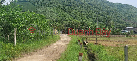 RESIDENTIAL LAND FOR SALE - LOW PRICE OWNER LAND IN DIEN TAN, DIEN KHANH _0