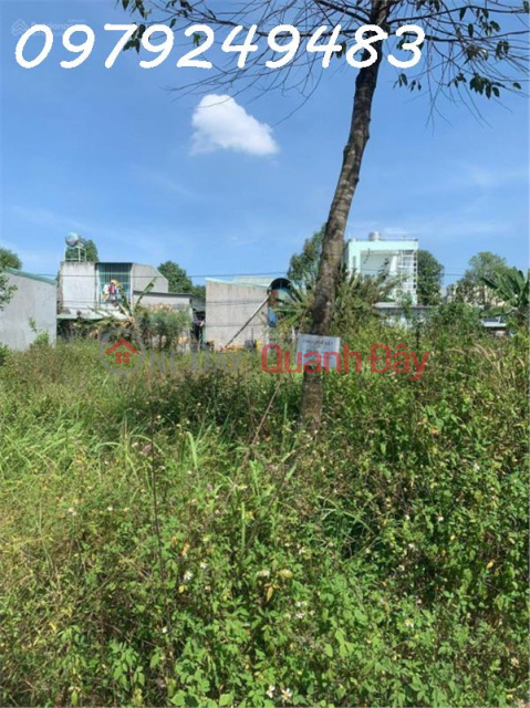 Cheapest land for rent in Ben Cat area, Binh Duong. Area: 5*30. Full residential _0
