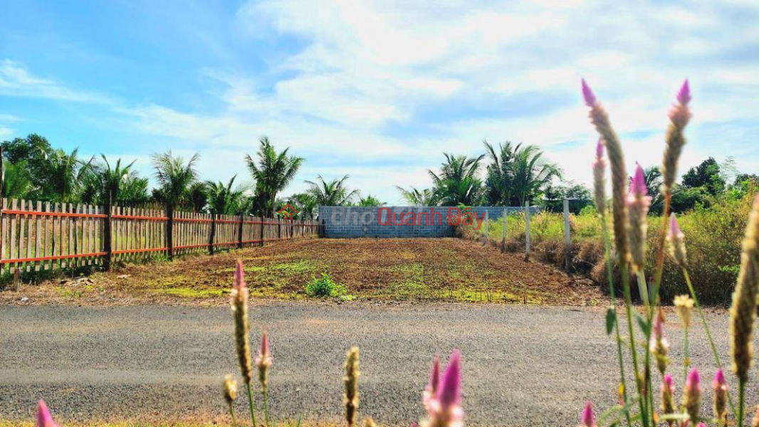 đ 2.25 Billion | “Land for sale near Hồ Tràm beach, Xuyên Mộc, Bà Rịa - Vũng Tàu Province - 10x35 - 100% ownership. Check it out now!”