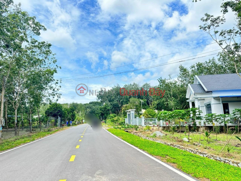 BEAUTIFUL LAND - GOOD PRICE - Only 400 million Immediately Own 250m2 Residential Land In Minh Thang, Chon Thanh Sales Listings